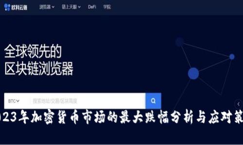 2023年加密货币市场的最大跌幅分析与应对策略